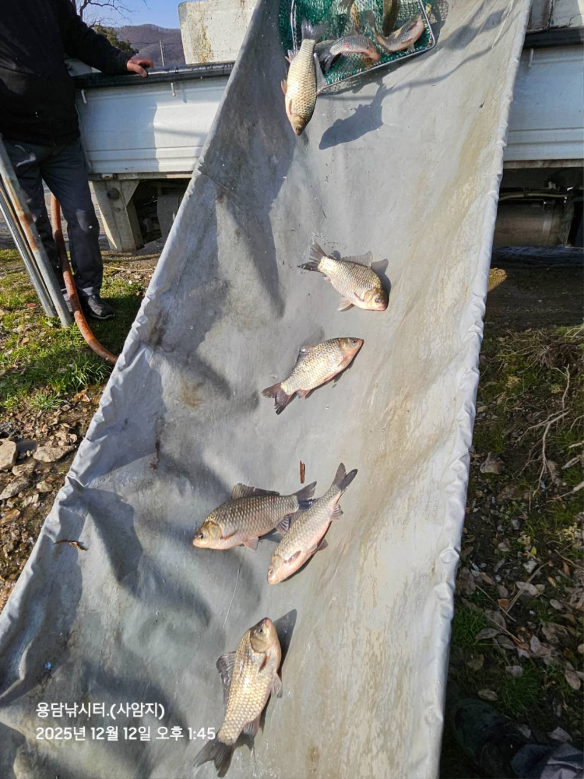 20251212_134544(0) (1).jpg