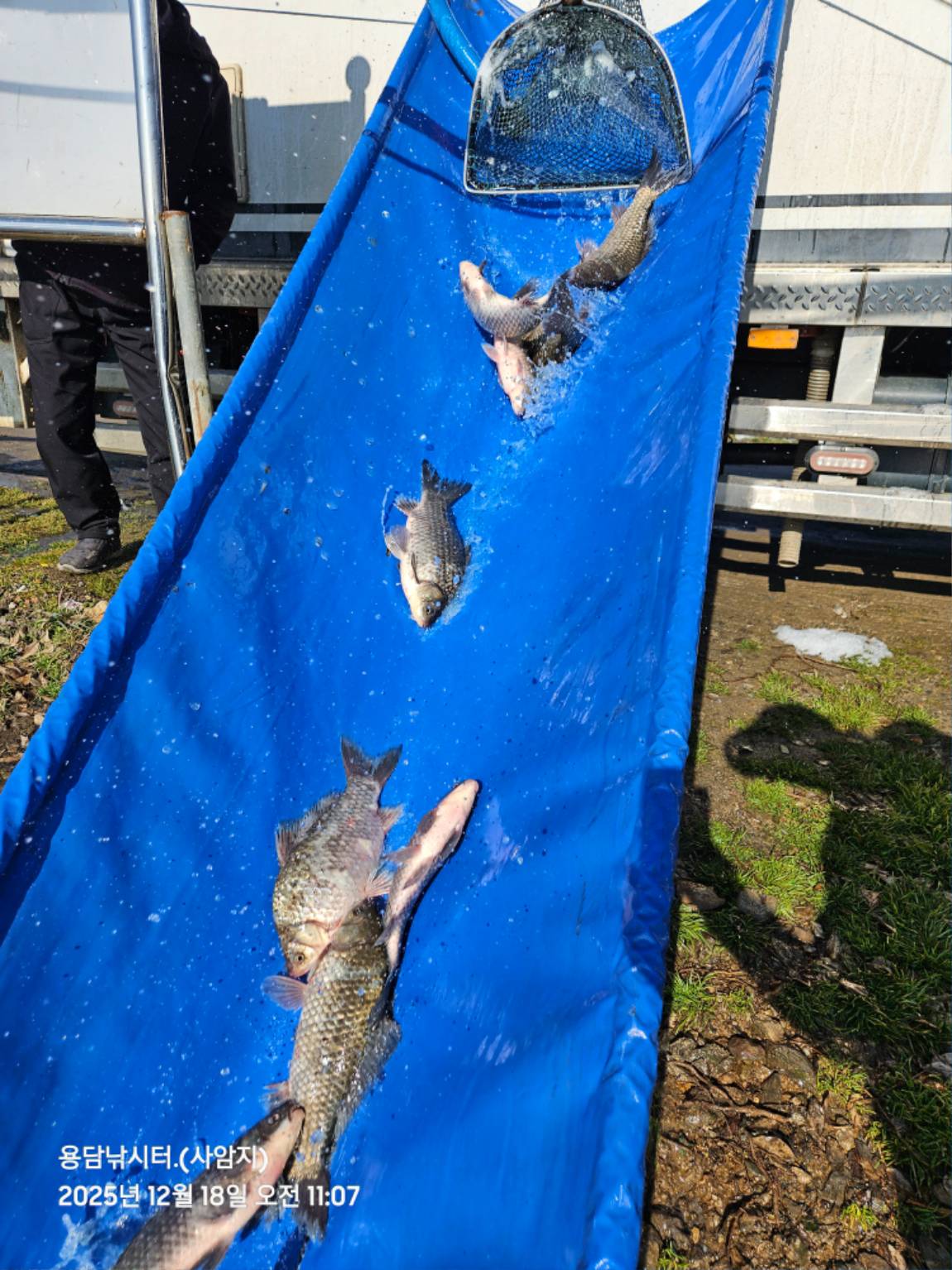 20251218_110758(2) (1).jpg