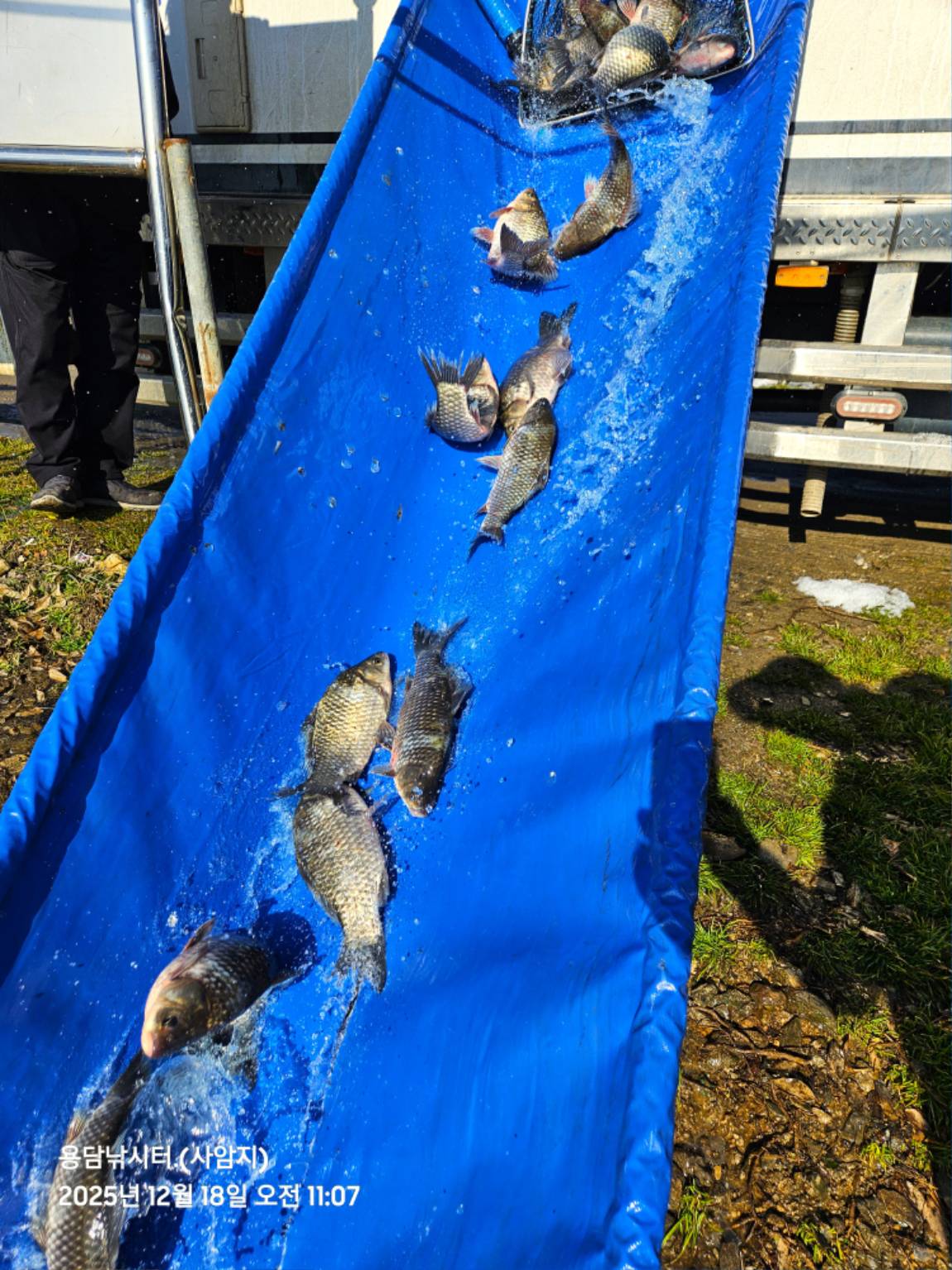 20251218_110746(1) (1).jpg