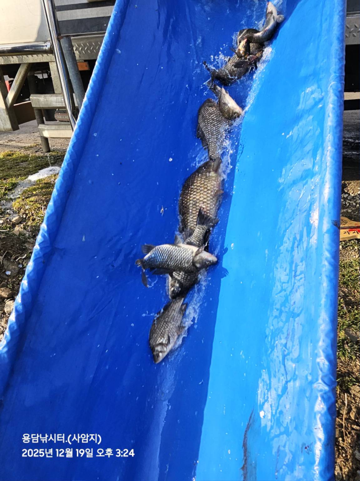 20251219_152437(1) (1).jpg