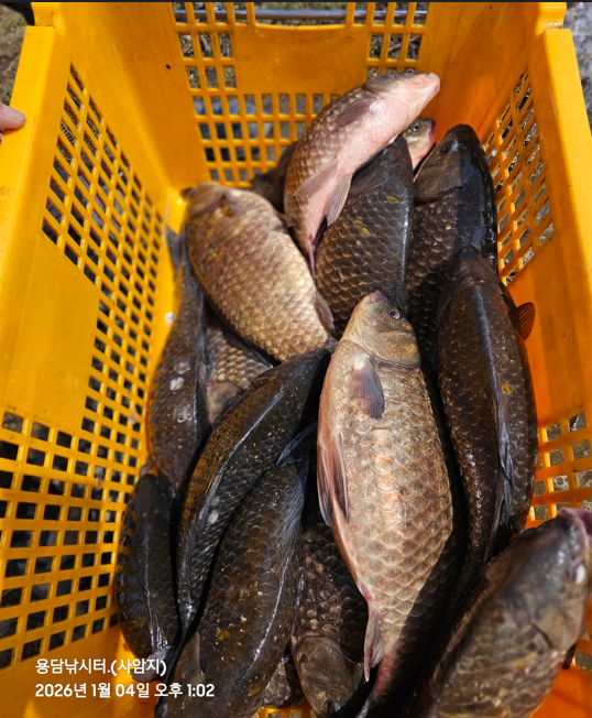 ȭ�� ĸó 2026-01-04 145220.png