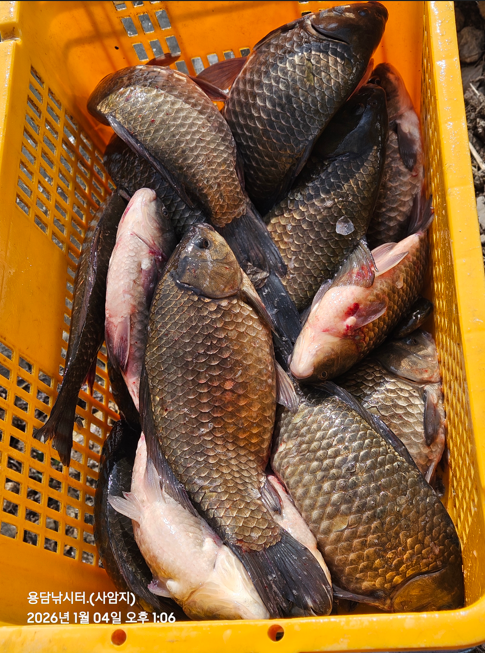 ȭ�� ĸó 2026-01-04 145356.png