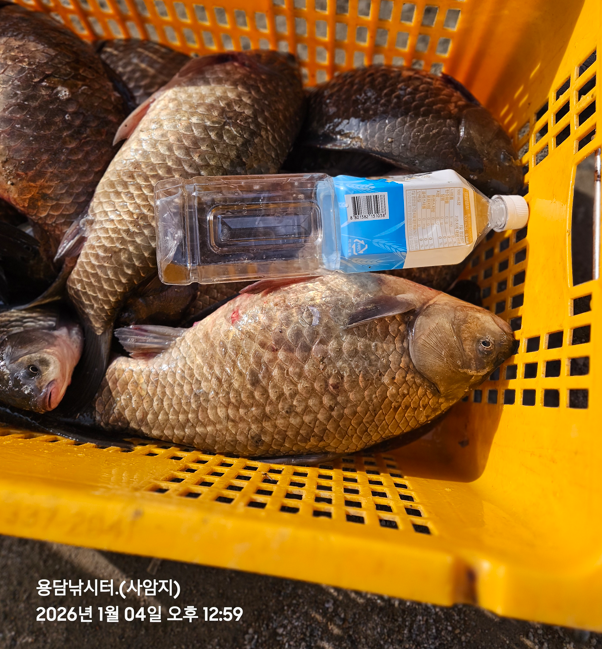 ȭ�� ĸó 2026-01-04 145439.png