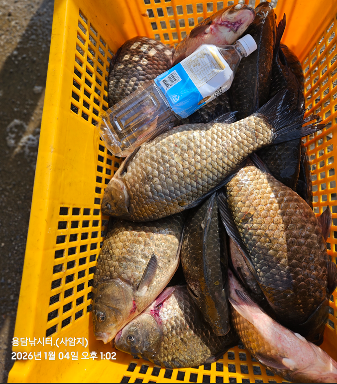 ȭ�� ĸó 2026-01-04 150055.png