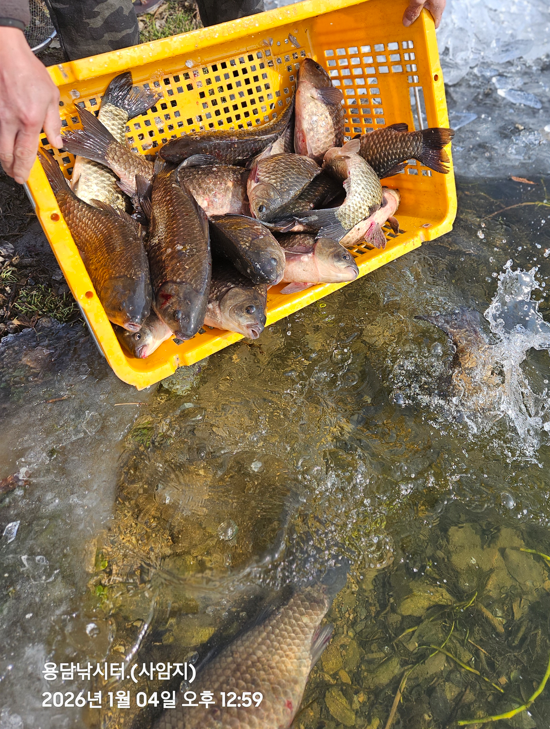 ȭ�� ĸó 2026-01-04 150147.png