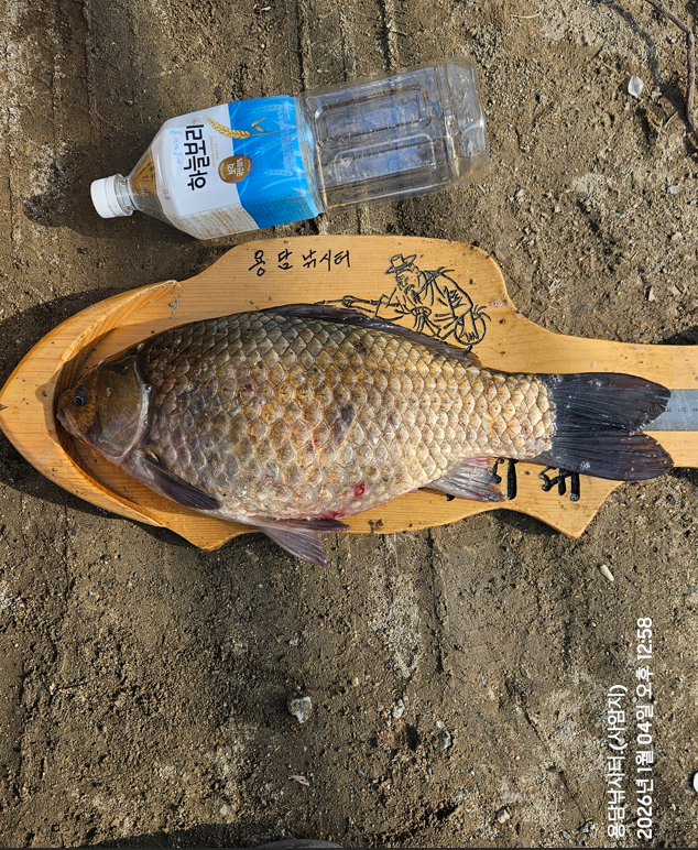 ȭ�� ĸó 2026-01-04 151054.png