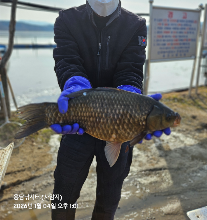 ȭ�� ĸó 2026-01-04 150912.png