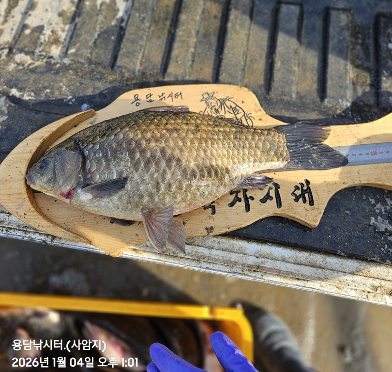 ȭ�� ĸó 2026-01-04 152040.png