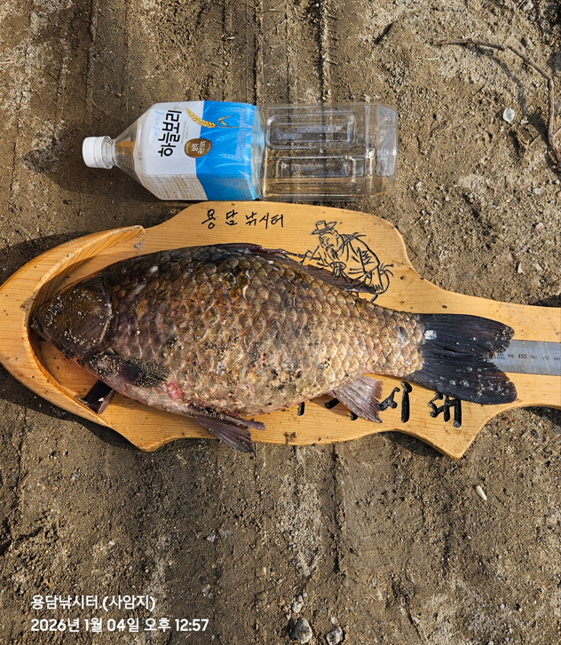 ȭ�� ĸó 2026-01-04 150410.png