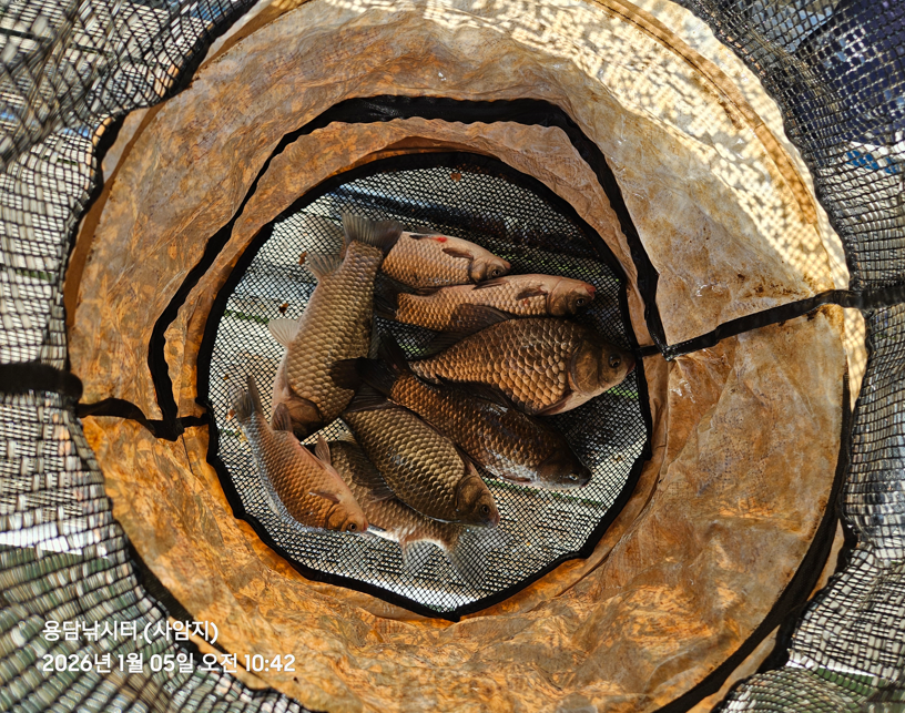 ȭ�� ĸó 2026-01-06 153858.png