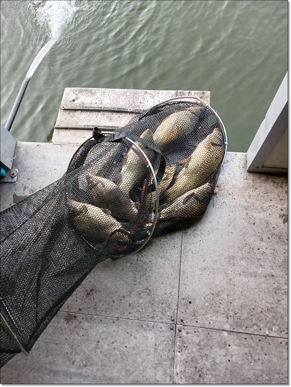 KakaoTalk_20260126_085506780_02 (1).jpg