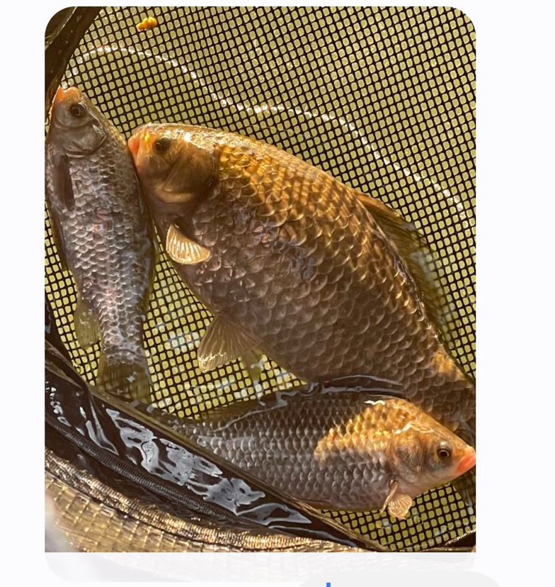 ȭ�� ĸó 2026-01-27 115724.png