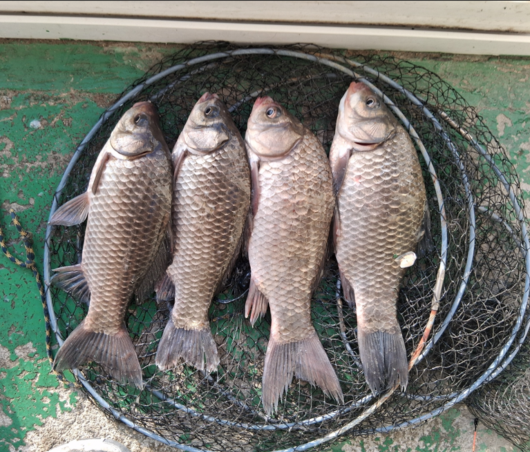 ȸé ĸó 2026-02-03 103436.png