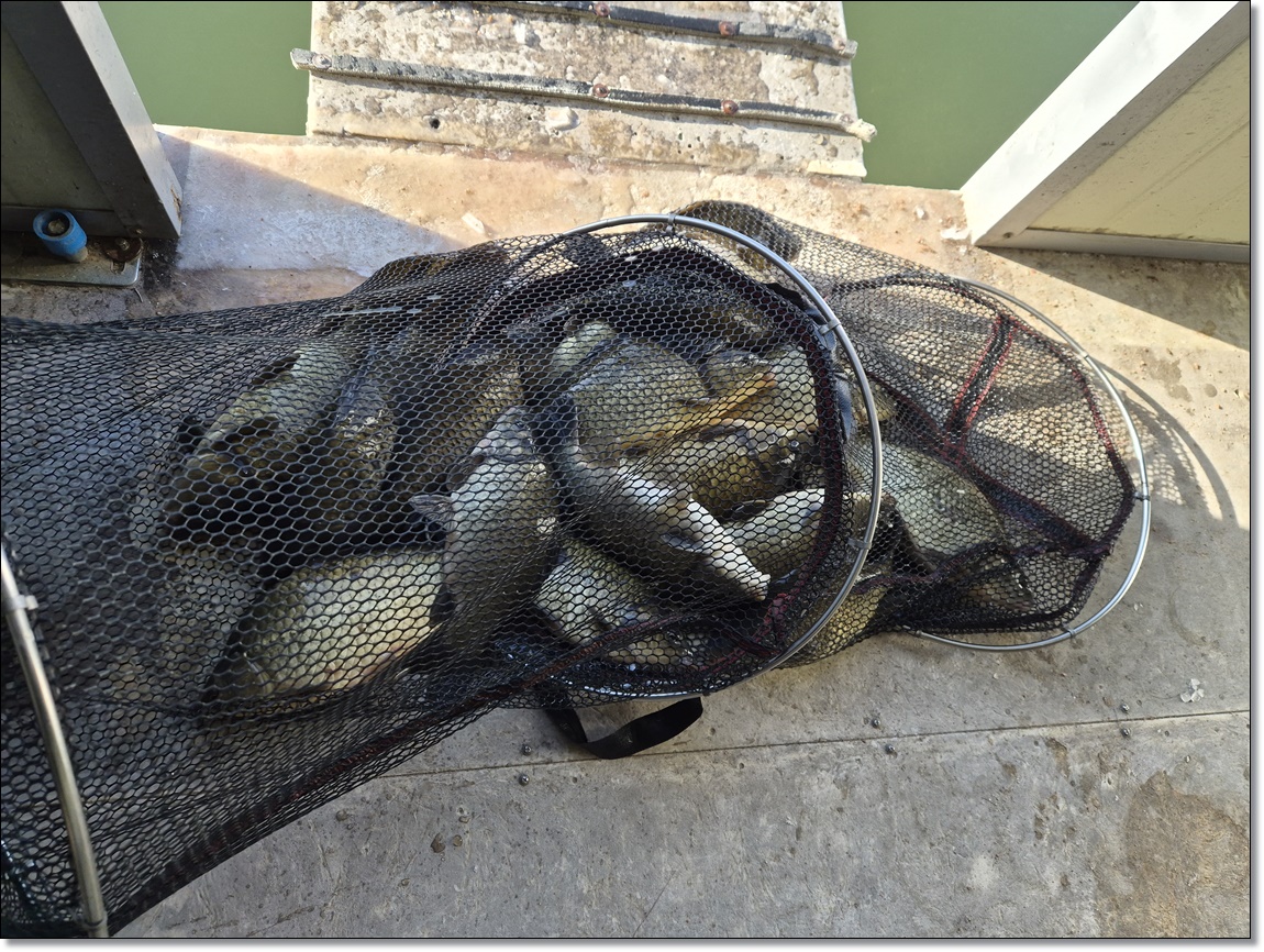 KakaoTalk_20260207_111009560 (1).jpg