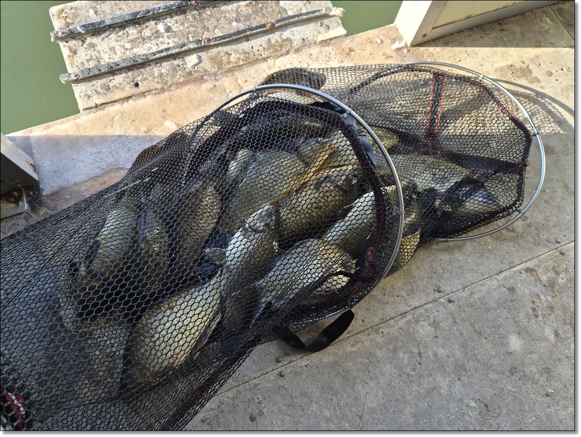 KakaoTalk_20260207_111009560_01 (1).jpg