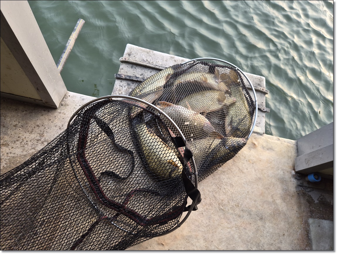 KakaoTalk_20260207_111009560_09 (1).jpg