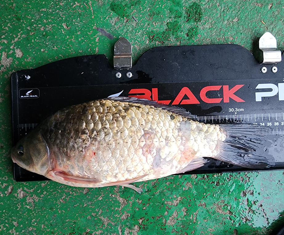 ȭ�� ĸó 2026-02-10 111137.png