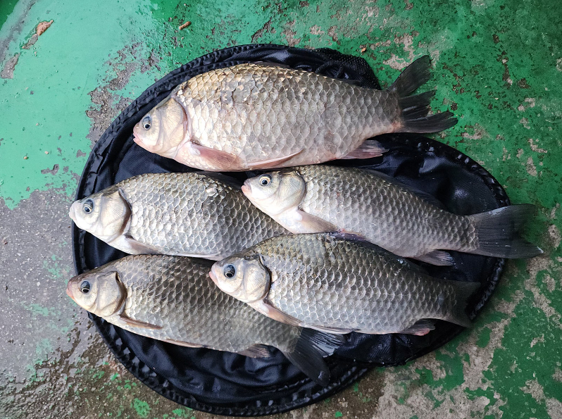 ȭ�� ĸó 2026-02-10 111057.png