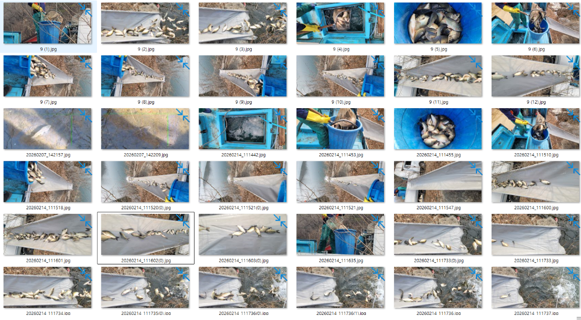 �̹��� 1.png