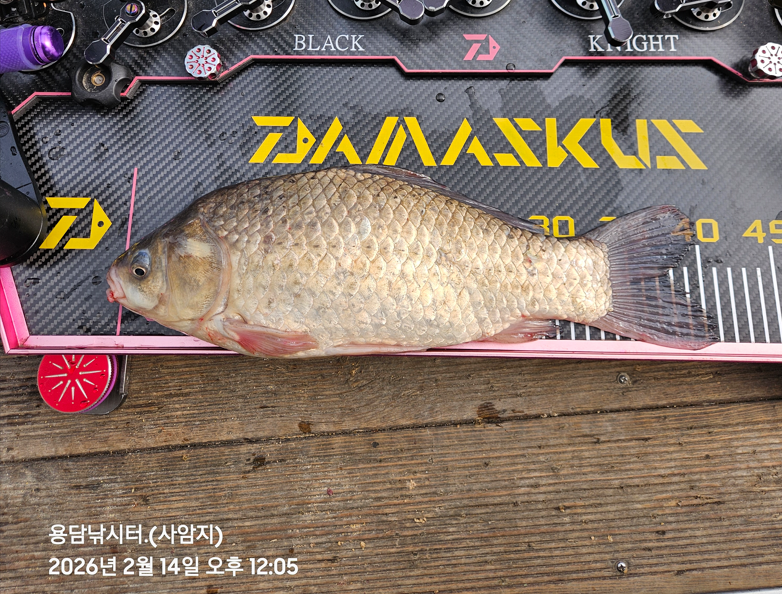 ȭ�� ĸó 2026-02-14 130949.png