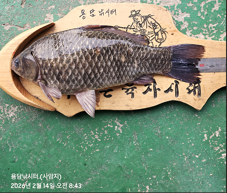 ȭ�� ĸó 2026-02-14 131020.png