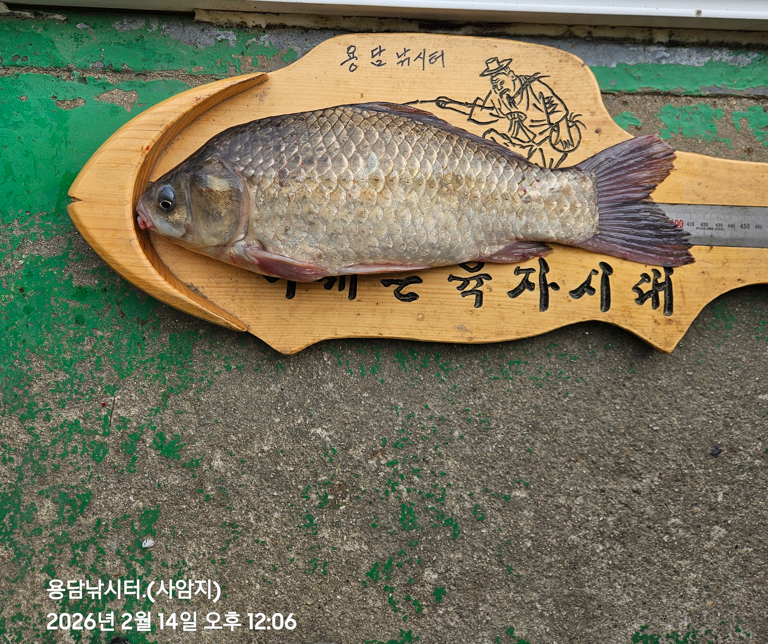 ȭ�� ĸó 2026-02-14 131114.png