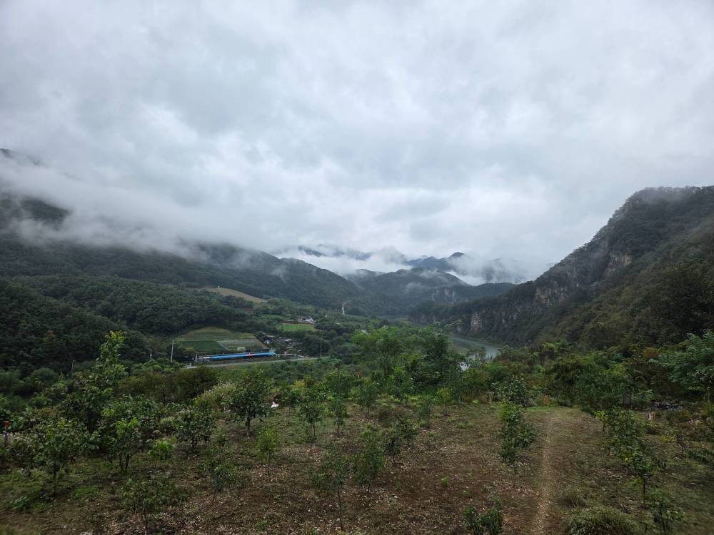 20251010_130524 (1).jpg