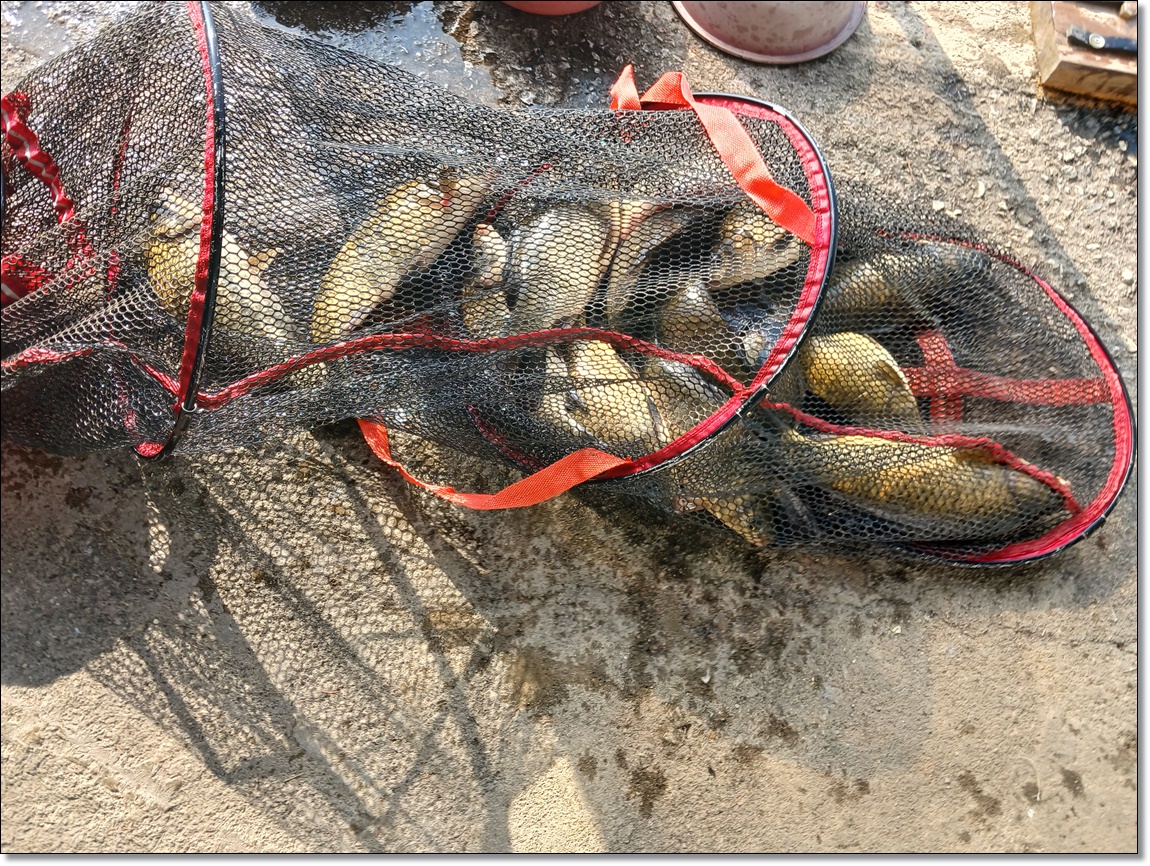 KakaoTalk_20260218_143652231 (1).jpg