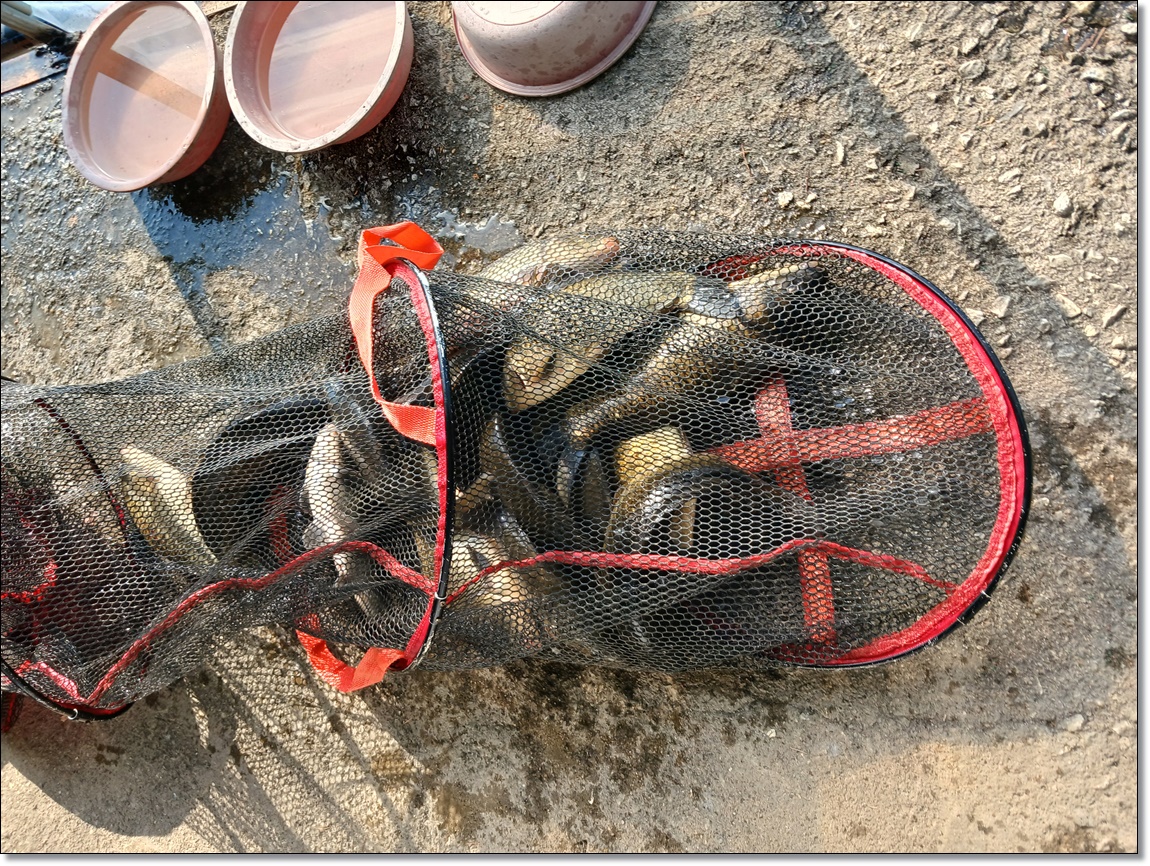 KakaoTalk_20260218_143652231_01 (1).jpg