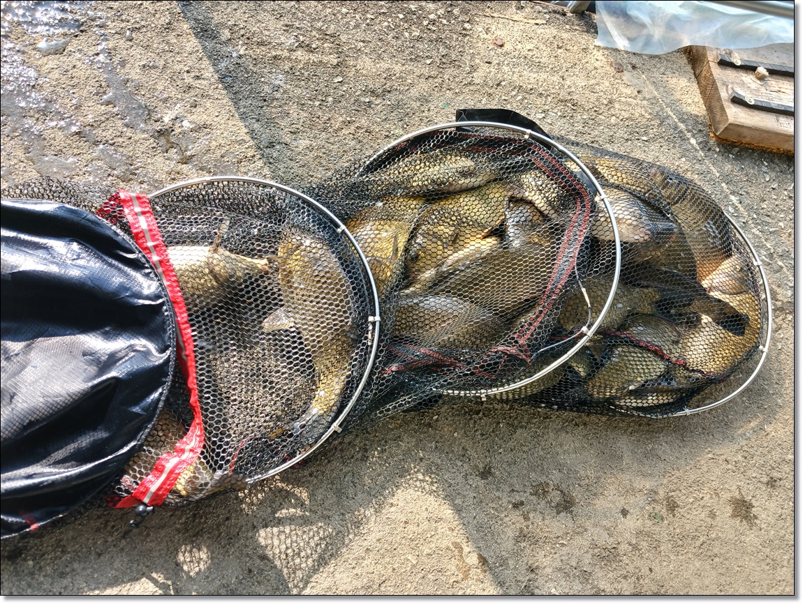 KakaoTalk_20260218_143652231_07 (1).jpg