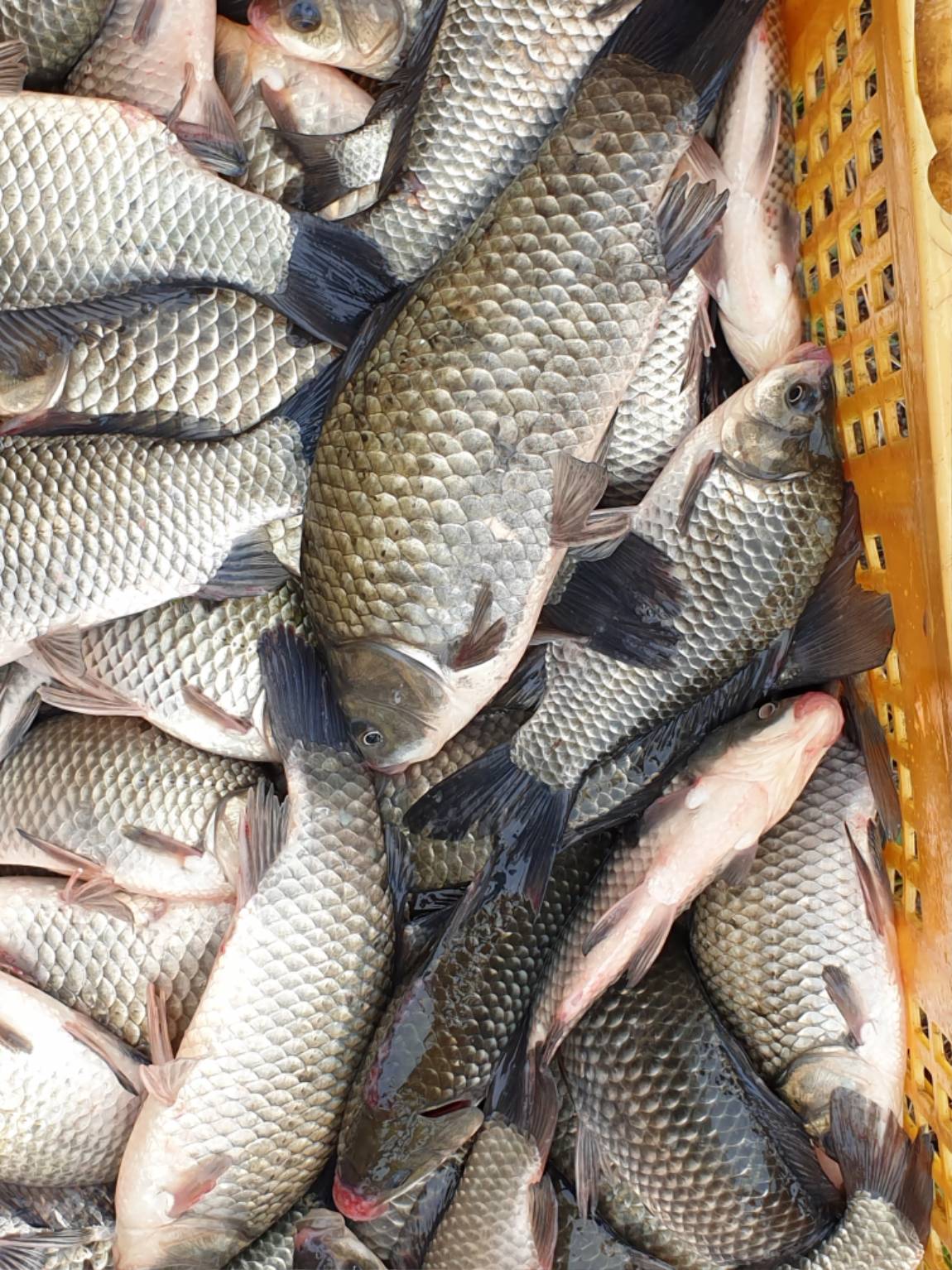 20260221 (1) - ���纻.jpg