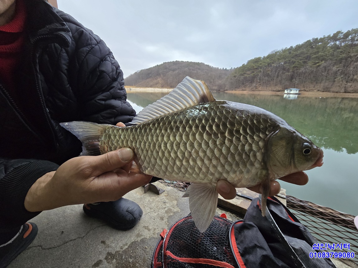가깝고 물 좋고 경치 좋은 토종붕어터~~!!-용인삼인낚시터-