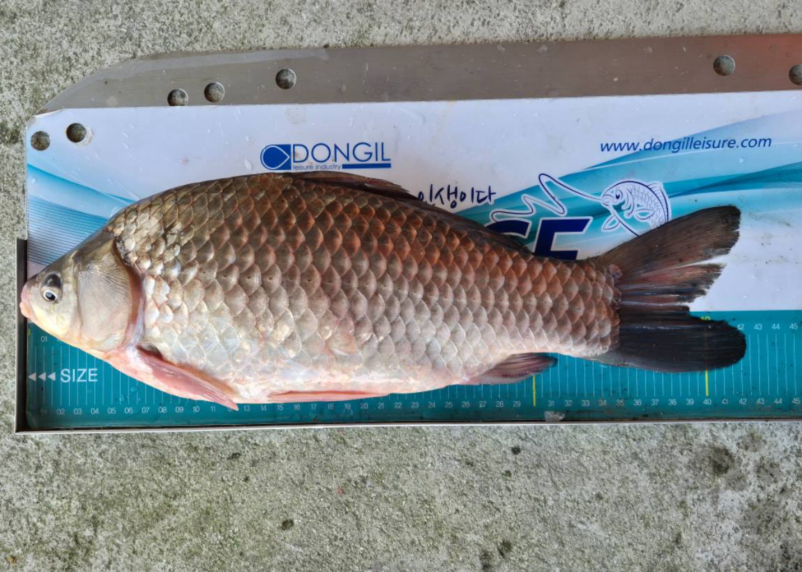 20260227 (1) - ���纻.jpg