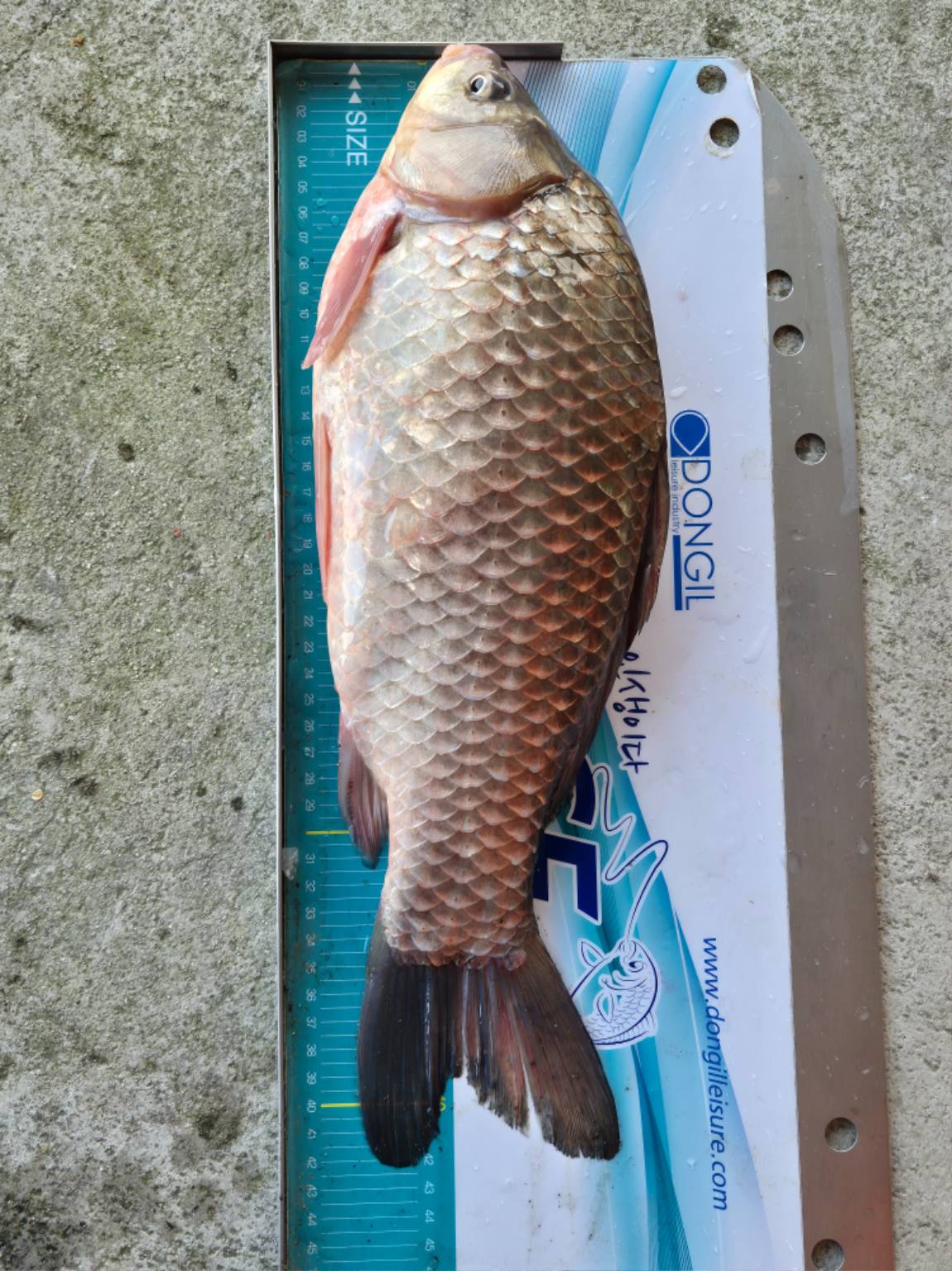 20260227 (2) - ���纻.jpg