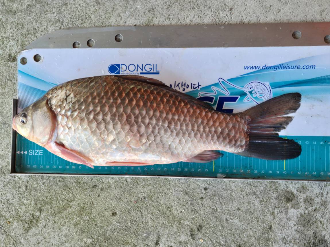 20260227 (3) - ���纻.jpg