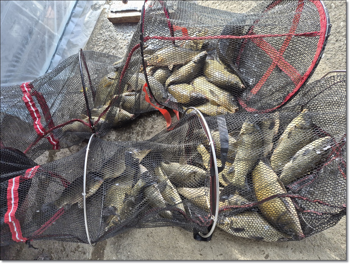 KakaoTalk_20260302_125515641_01 (1).jpg