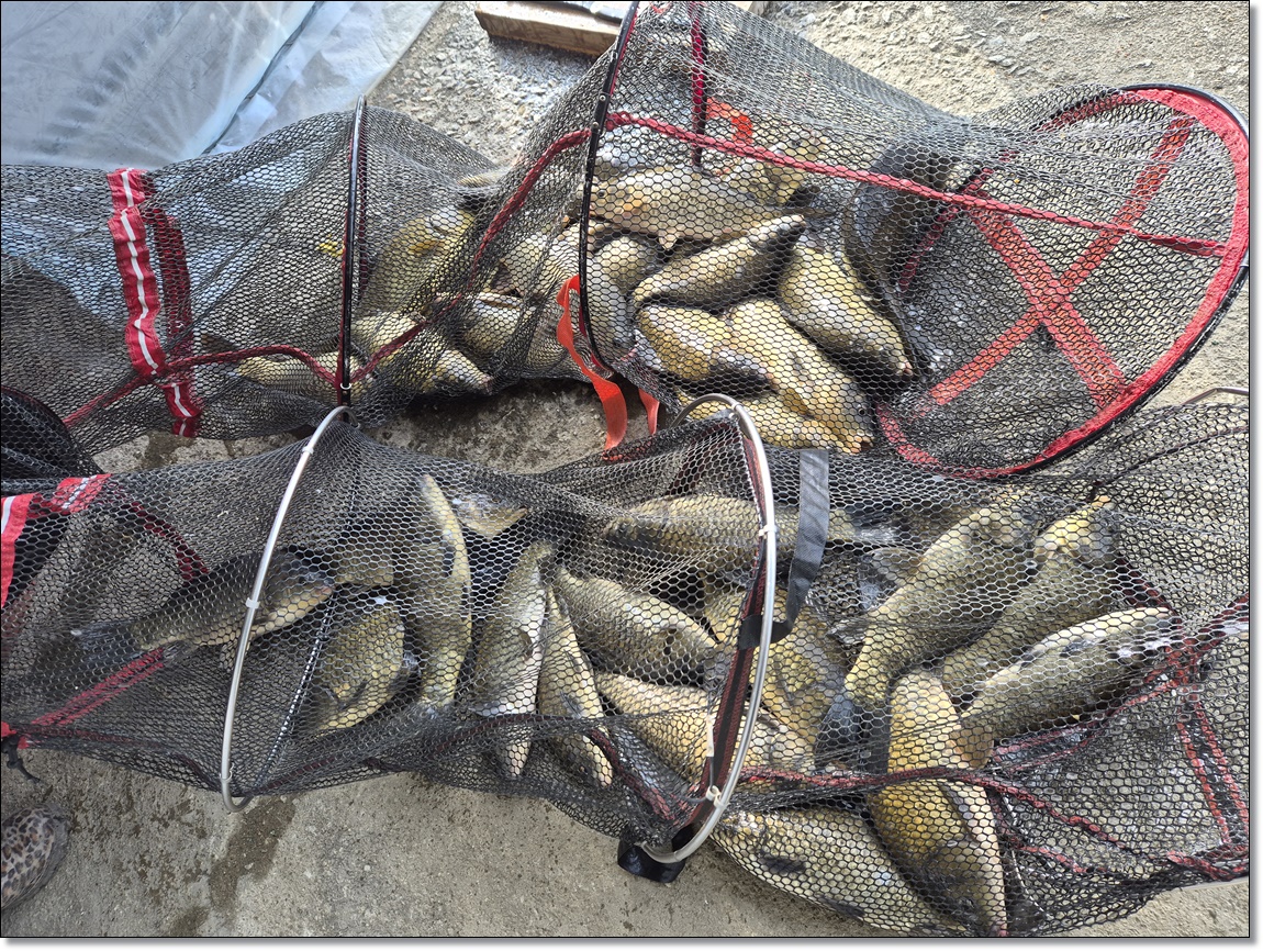 KakaoTalk_20260302_125515641 (1).jpg