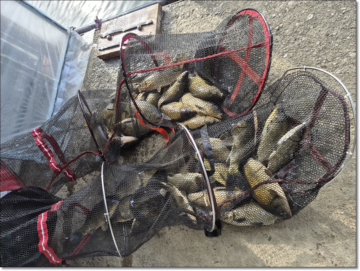 KakaoTalk_20260302_125515641_02 (1).jpg