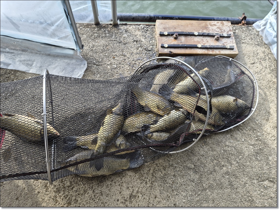 KakaoTalk_20260302_125515641_05 (1).jpg