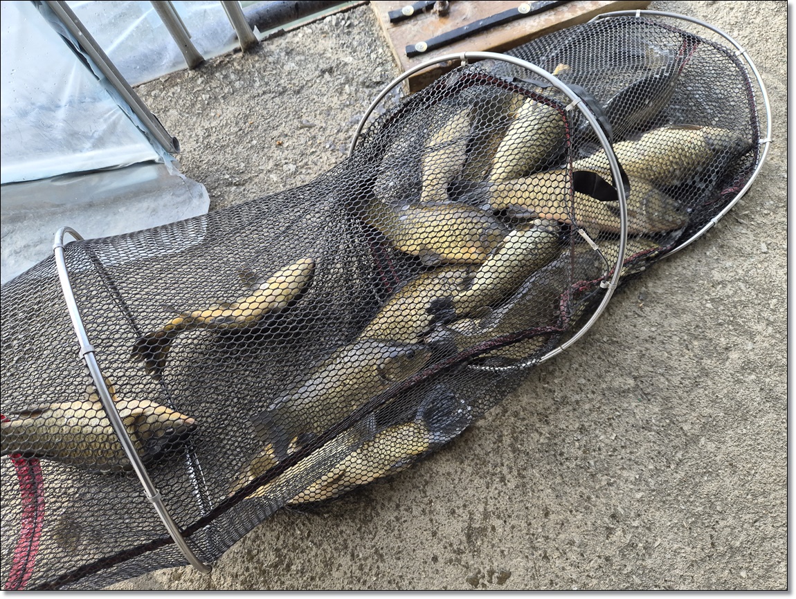 KakaoTalk_20260302_125515641_06 (1).jpg