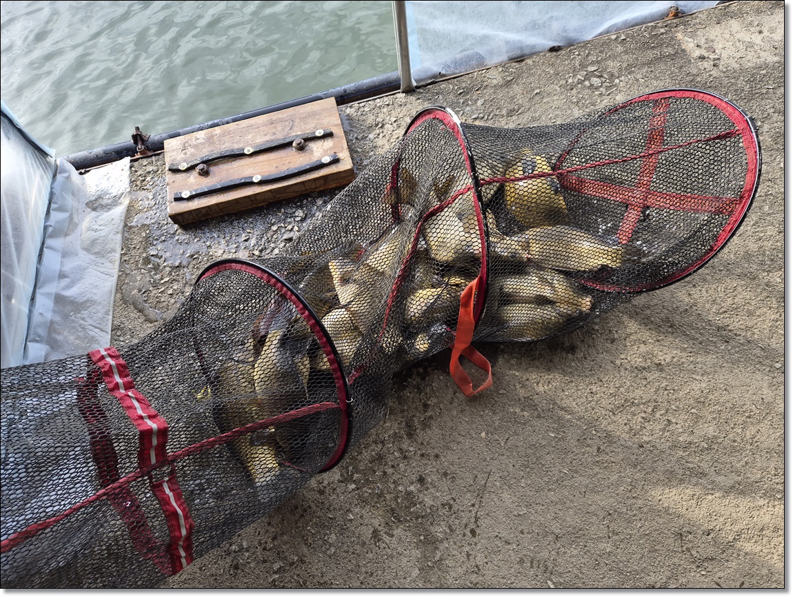 KakaoTalk_20260302_125515641_10 (1).jpg