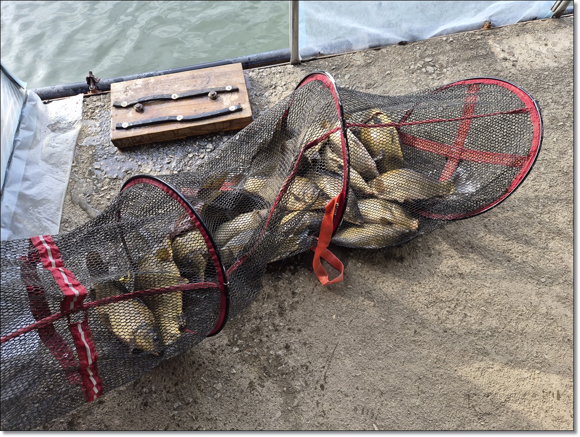 KakaoTalk_20260302_125515641_12 (1).jpg