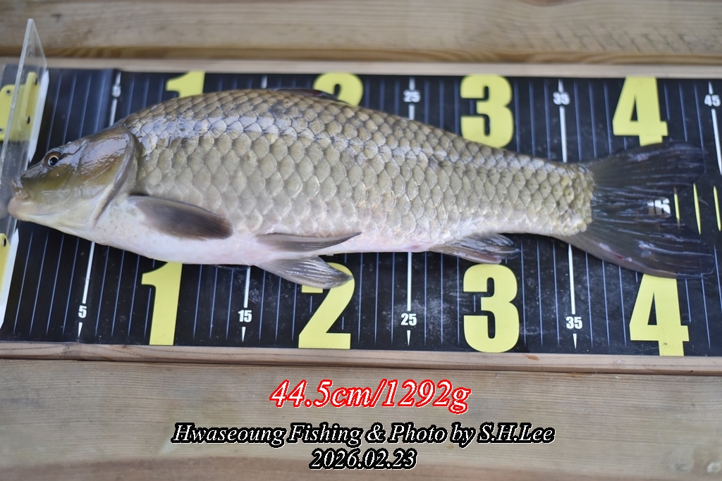 2���ĥ�� (2).JPG