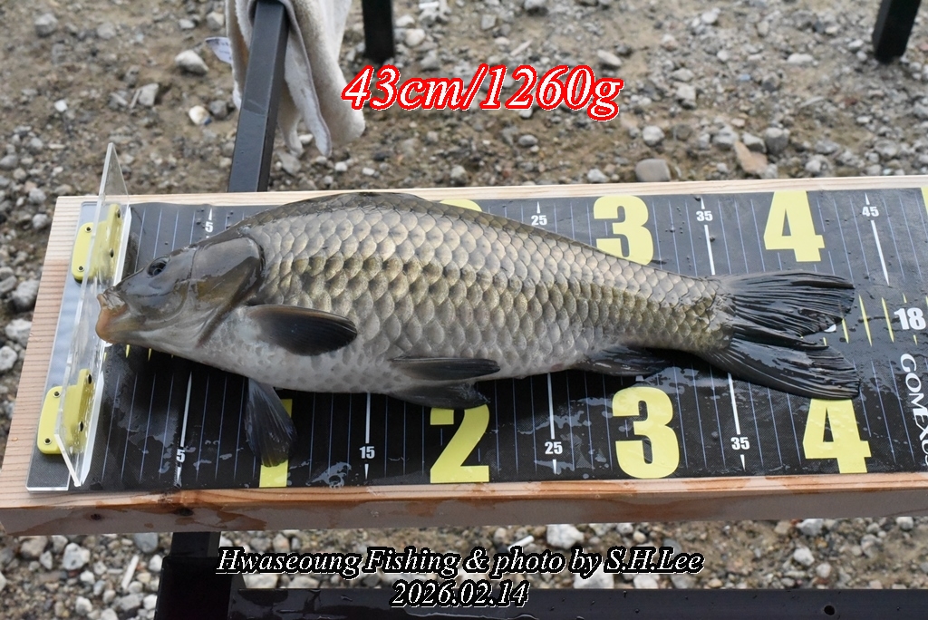 3���ֱ�ȣ  (2).JPG