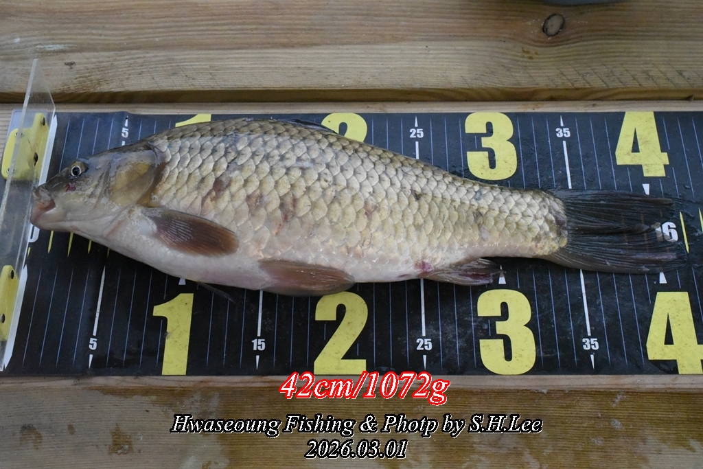 6����ȣ�� (2).JPG