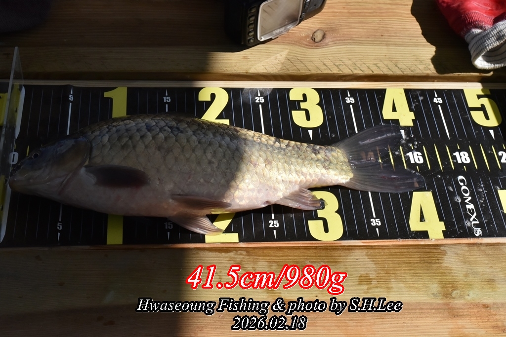 9��ȣ���� (2).JPG