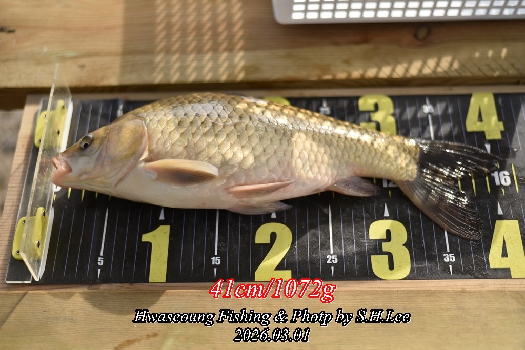 11���̿��� (2).JPG