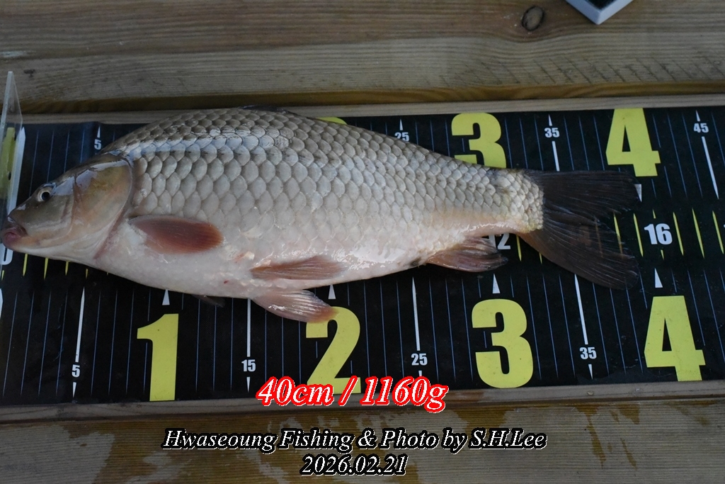 12��迵�� (2).JPG