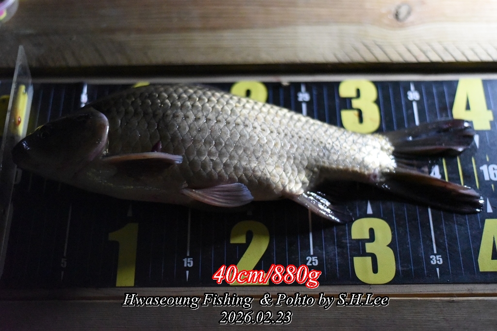 14�������� (2).JPG