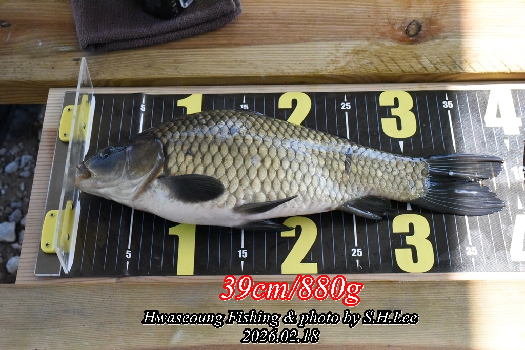 16���̰��� (2).JPG